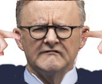 Anthony Albanese